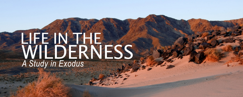 Life in the Wilderness (Exodus 15:22-40)