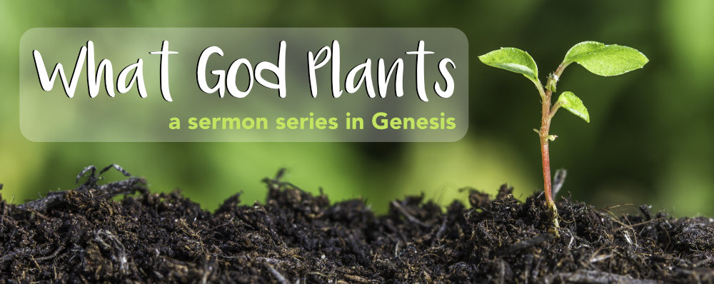What God Plants (Genesis)