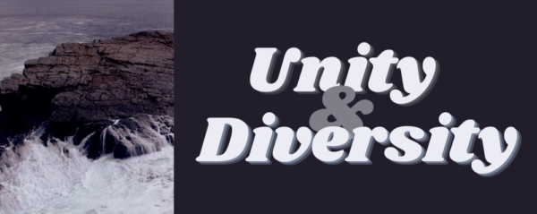 Ryan Troglin - Unity & Diversity - Diversity? Unity? For God's Sake!  Image